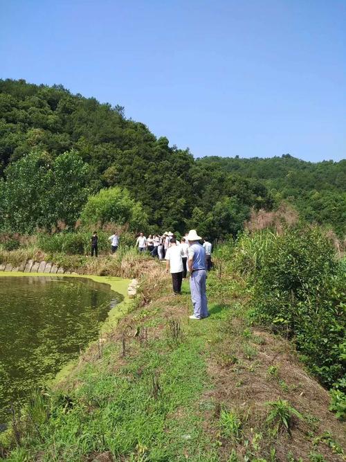 春染江峰园 蕲春科技赋能农业新图景